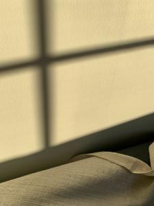 Защитная сетка на окна спортзала